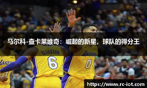 乐鱼体育