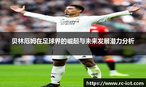 乐鱼网站
